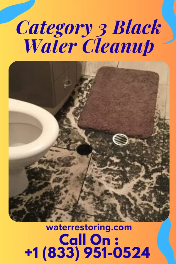 Category 3 Black Water Cleanup in Primghar, IA
