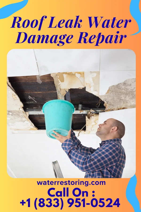 Roof Leak Water Damage Repair in Primghar, IA